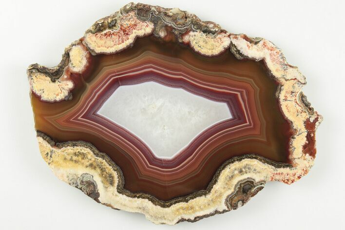 Polished Banded Agate Slice - Mexico #198178